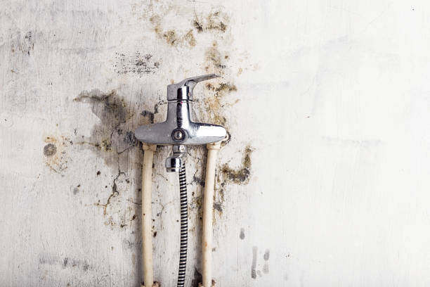 Reliable Keansburg, NJ Mold Remediation Solutions