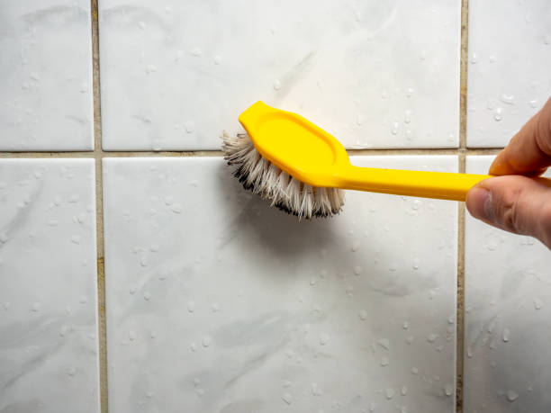 Best Mold Remediation for Schools in Keansburg, NJ