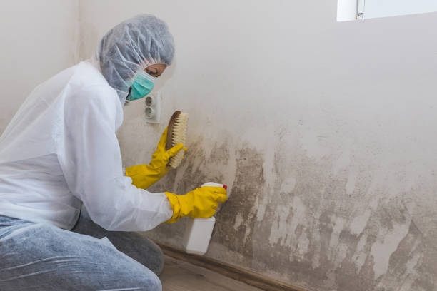 Best Industrial Mold Remediation in Keansburg, NJ