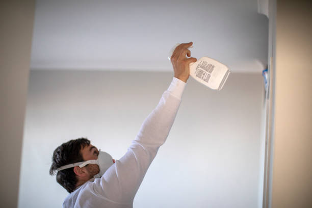 Best Bathroom Mold Remediation in Keansburg, NJ