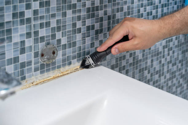 Best Insurance-Related Mold Remediation in Keansburg, NJ