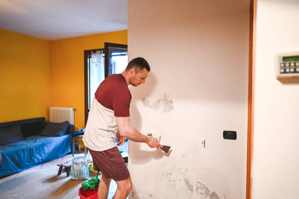 Best DIY Mold Remediation Support Services in Keansburg, NJ